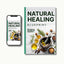 Hemorrhoids Help Guide (e-book)